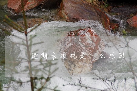 逾期未报税是什么原因