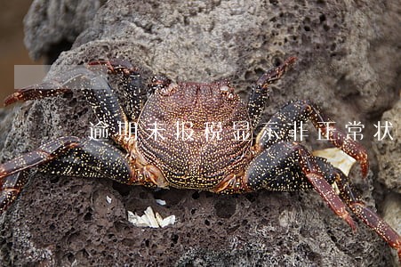 逾期未报税显示非正常状态 逾期未报税显示非正常状态