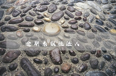 逾期未报税法人 逾期未报税法人