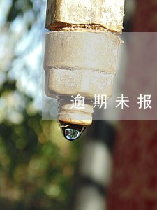 逾期未报税法人不能 逾期未报税法人不能