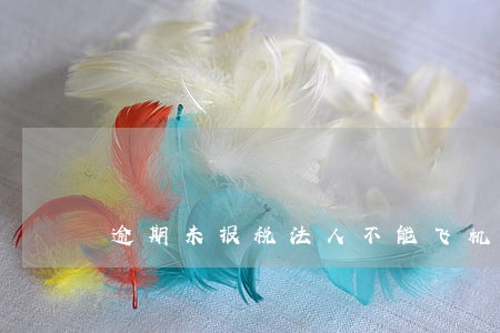 逾期未报税法人不能飞机票 逾期未报税法人不能飞机票