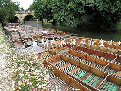 逾期未报税滞纳金比例 逾期未报税滞纳金比例