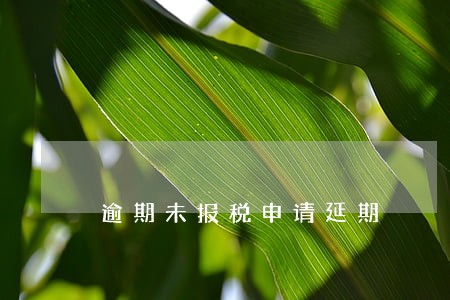 逾期未报税申请延期 逾期未报税申请延期