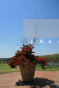 逾期未报税的情况说明及检讨书 逾期未报税的情况说明及检讨书