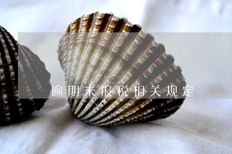 逾期未报税相关规定 逾期未报税相关规定