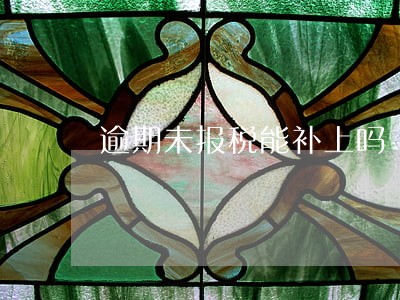逾期未报税能补上吗 逾期未报税能补上吗