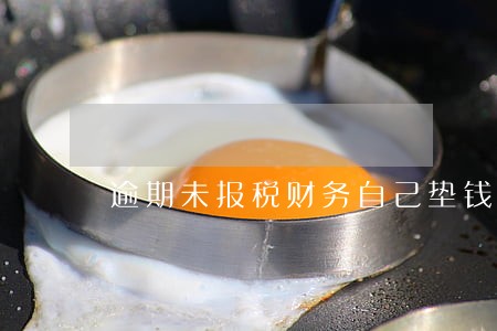 逾期未报税财务自己垫钱吗 逾期未报税财务自己垫钱吗
