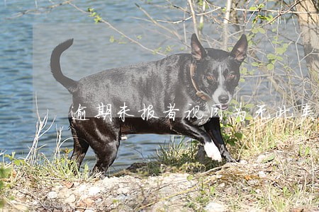 逾期未报者视同为无此类情况