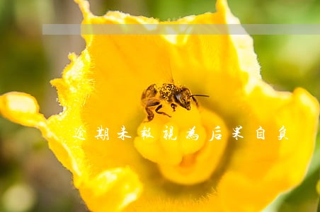 逾期未报视为后果自负