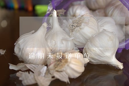 逾期未报送单位 逾期未报送单位