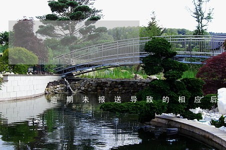 逾期未报送导致的相应后果自负 逾期未报送导致的相应后果自负