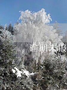 逾期未报送年度报告 逾期未报送年度报告
