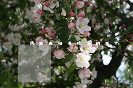 逾期未报送情况的视为 逾期未报送情况的视为