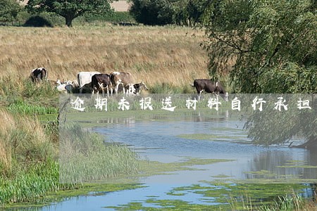 逾期未报送材料自行承担后果 逾期未报送材料自行承担后果