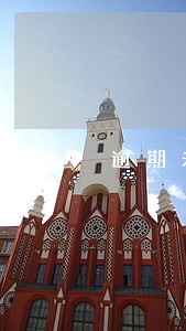 逾期未报送的单位书面 逾期未报送的单位书面