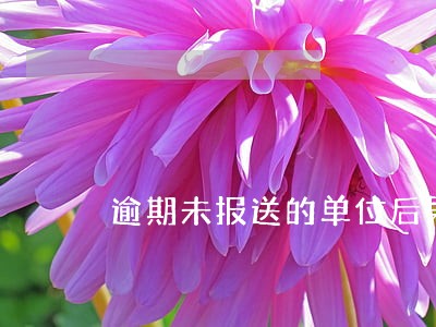 逾期未报送的单位后果自负 逾期未报送的单位后果自负