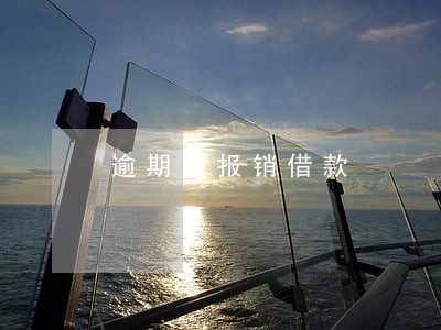 逾期未报销借款 逾期未报销借款