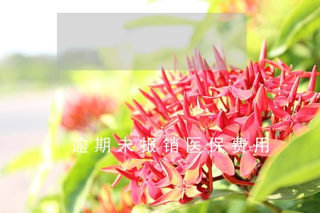 逾期未报销医保费用 逾期未报销医保费用