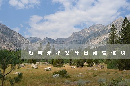 逾期未报验外出经营证明 逾期未报验外出经营证明