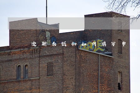 逾期未抵扣如何填写申报表 逾期未抵扣如何填写申报表