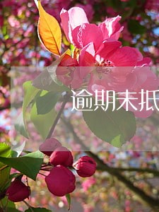 逾期未抵扣情况文件 逾期未抵扣情况文件