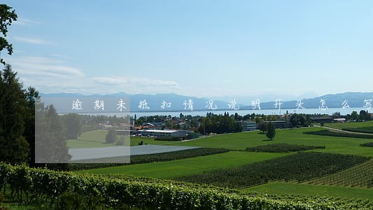 逾期未抵扣情况说明开头怎么写 逾期未抵扣情况说明开头怎么写