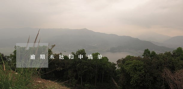 逾期未抵扣申请单 逾期未抵扣申请单