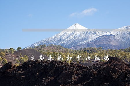 逾期未抵扣申请难吗 逾期未抵扣申请难吗