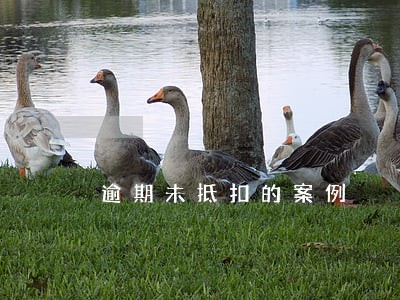 逾期未抵扣的案例 逾期未抵扣的案例