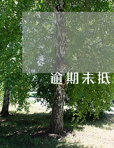 逾期未抵扣税务 逾期未抵扣税务