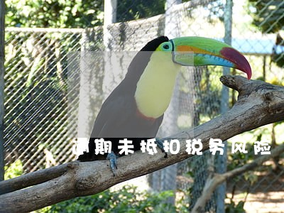 逾期未抵扣税务风险