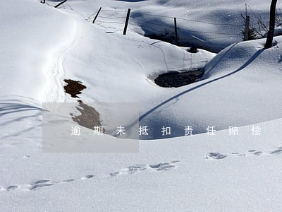 逾期未抵扣责任赔偿 逾期未抵扣责任赔偿