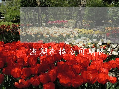 逾期未按合同期限支付款 逾期未按合同期限支付款