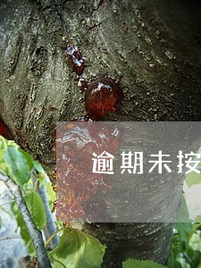 逾期未按时交付租赁物 逾期未按时交付租赁物