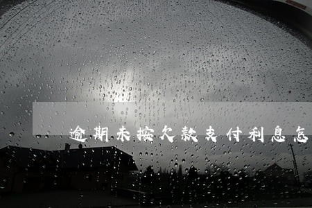 逾期未按欠款支付利息怎么算