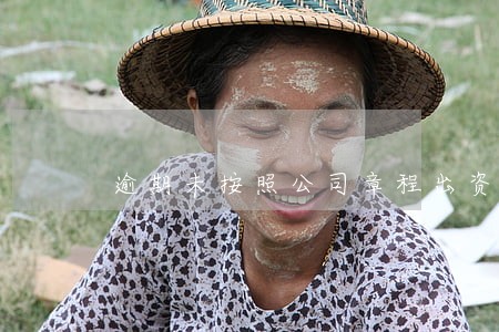 逾期未按照公司章程出资的处罚