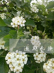 逾期未换届选举报告 逾期未换届选举报告