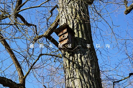 逾期未换证一年以内 逾期未换证一年以内