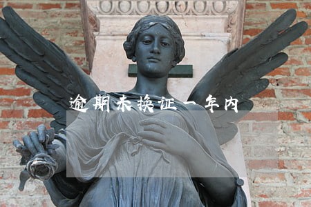 逾期未换证一年内