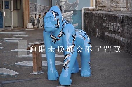 逾期未换证交不了罚款