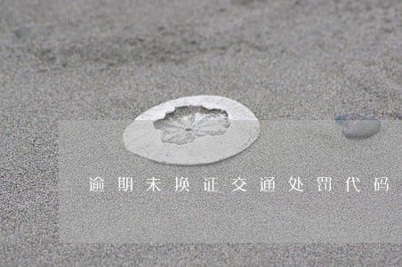 逾期未换证交通处罚代码多少 逾期未换证交通处罚代码多少