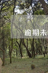 逾期未换证交通违法代码是多少 逾期未换证交通违法代码是多少