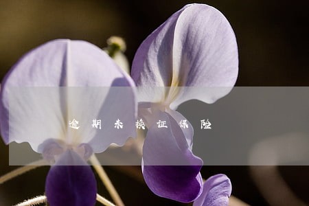 逾期未换证保险 逾期未换证保险