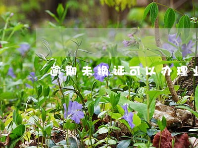 逾期未换证可以办理业务吗 逾期未换证可以办理业务吗