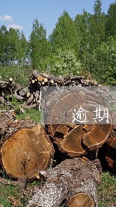 逾期未换证可以办理延期吗