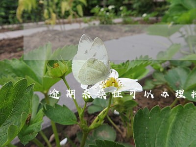 逾期未换证可以办理拼搏换证吗 逾期未换证可以办理拼搏换证吗