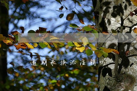 逾期未换证注销吗 逾期未换证注销吗