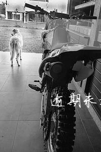 逾期未换证能在网上换证