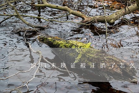 逾期未换证被注销了怎么办 逾期未换证被注销了怎么办