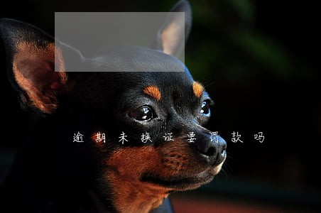 逾期未换证要罚款吗 逾期未换证要罚款吗